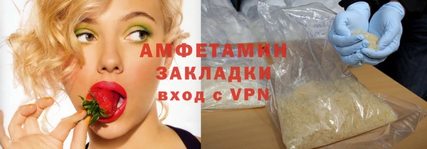 индика Михайловск