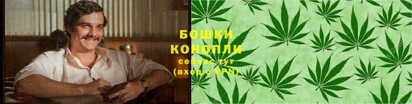 метадон Михайлов