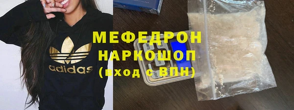 индика Михайловск
