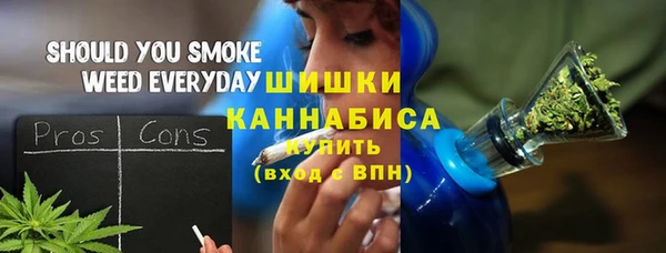 стафф Вязьма