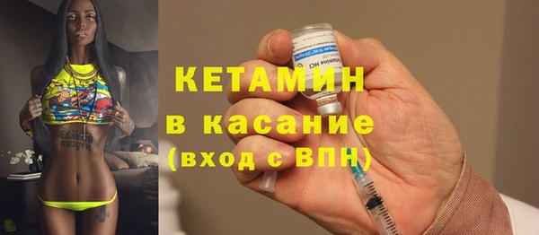 индика Михайловск