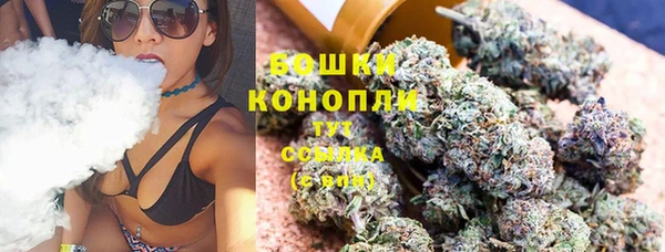 метадон Михайлов