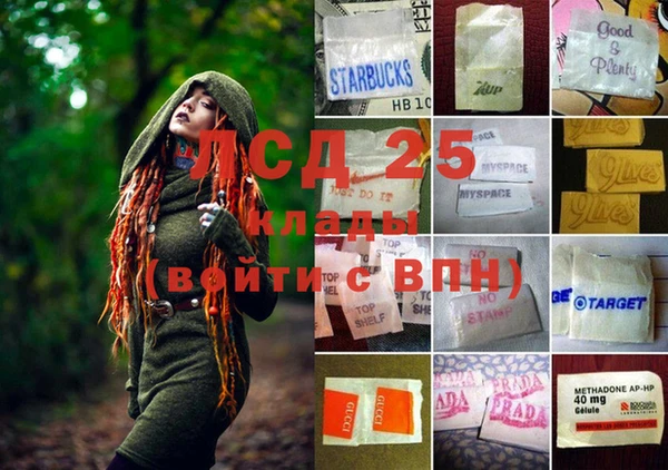 индика Михайловск
