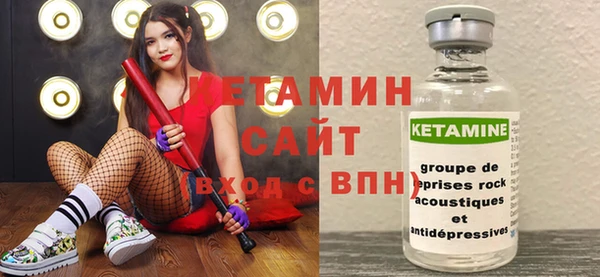индика Михайловск