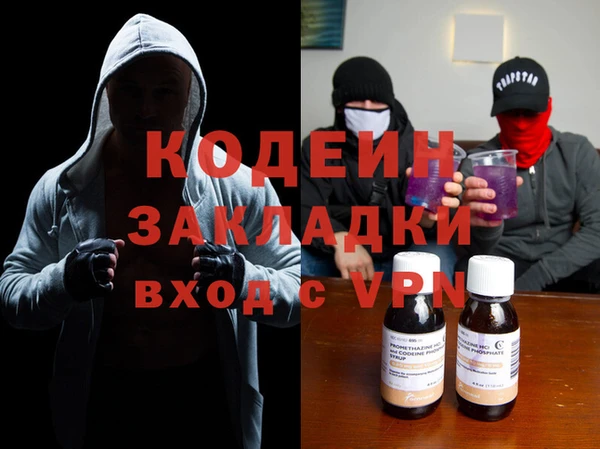 индика Михайловск