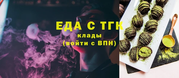 индика Михайловск