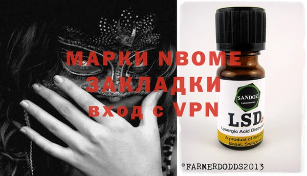 индика Михайловск