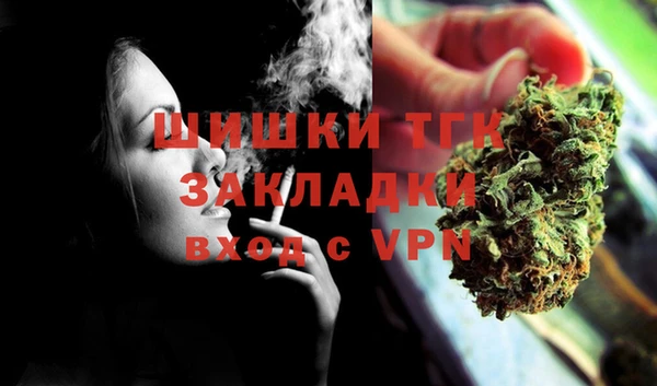 индика Михайловск