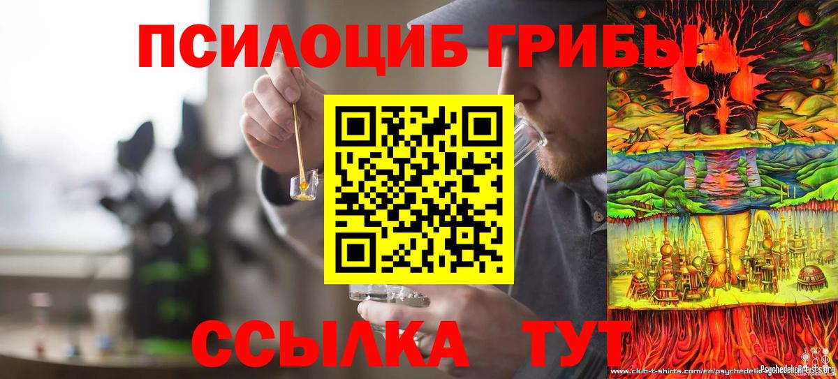 Галлюциногенные грибы мицелий  Батайск  Псилоцибиновые грибы Psilocybine cubensis 