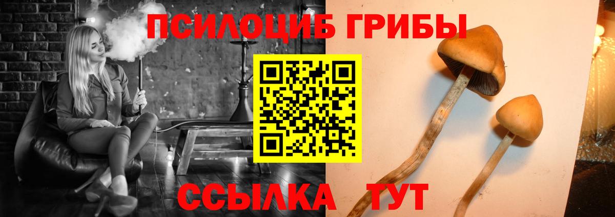 Галлюциногенные грибы мухоморы Батайск